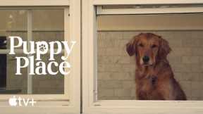 Puppy Place — Goldie the Golden Retriever | Apple TV+