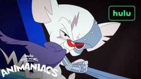 Animaniacs x MasterClass|Ep. 3 Disguises and the Art of Subterfuge|Hulu