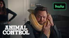 The Genuine Animals of Animal Control|Hulu