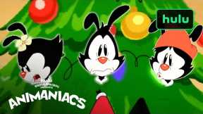 No Provides for the Animaniacs on Christmas?!|Animaniacs|Hulu