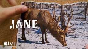 Jane-- 11 Fun Facts Concerning Caribou|Apple TV