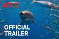 All the Sharks | Official Trailer |