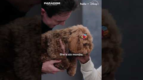 We all deserve some puppy therapy after those first three episodes. 🐶 #ParadisePodcast