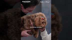 We all deserve some puppy therapy after those first three episodes. 🐶 #ParadisePodcast