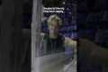 Why is this video 27 hours long? |