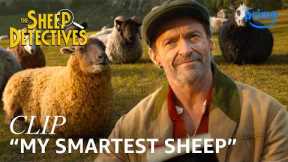 Hugh Jackman Introduces His Flock in The Sheep Detectives | Clip | Prime Video