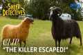 Murder Investigation Begins | The