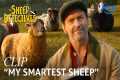 Hugh Jackman Introduces His Flock in